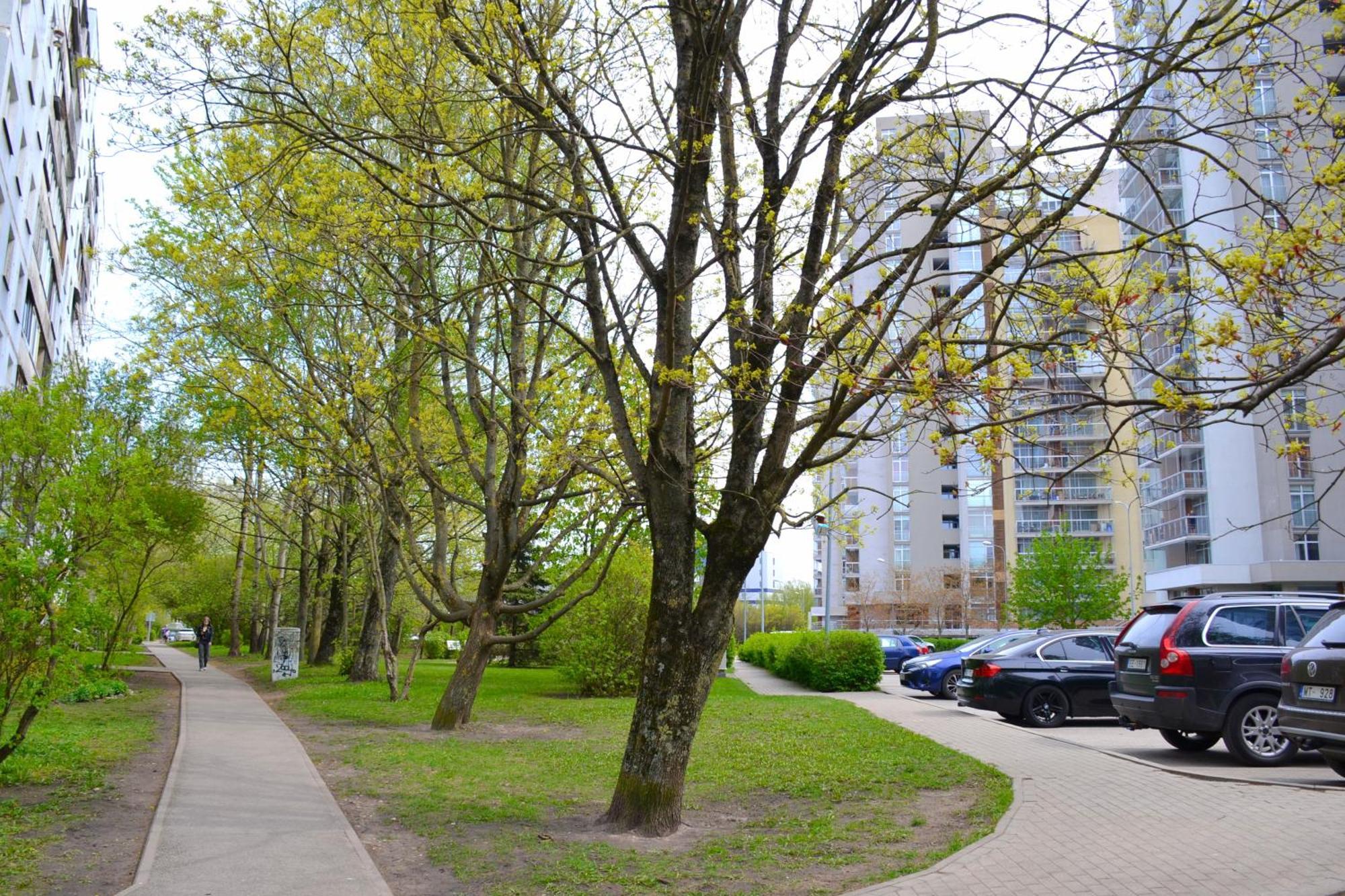 Imanta Apartment Riga 2Х Rooms 52М2 Eksteriør billede